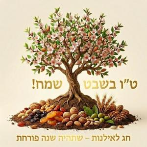 �� ���� �� �������