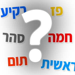 זהו את המילה הנרדפת! משחק מילים נרדפות