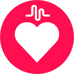 כמה אני מכור/ה למיוזיקלי