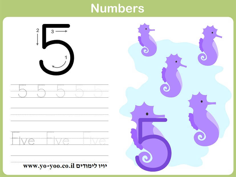   5 