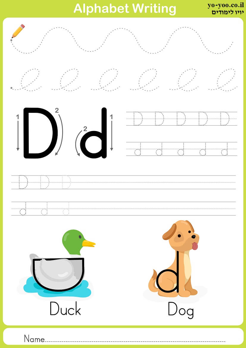     D 