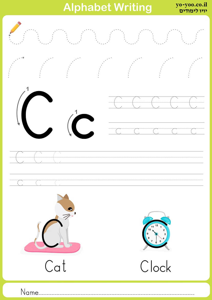     C 