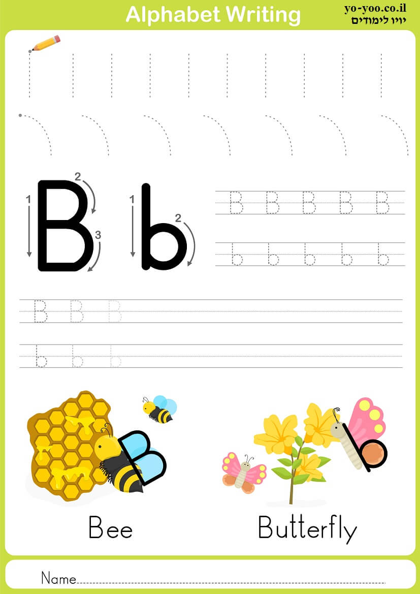     B 
