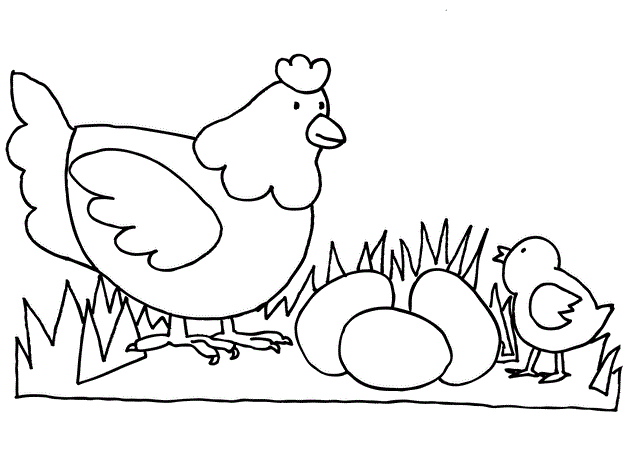 תרנגולת ואפרוח