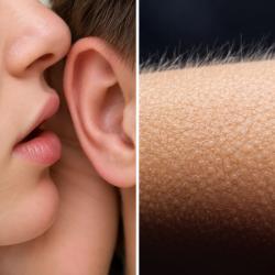 סוד מסמר שיער