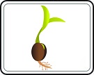 תמונת משחק זיכרון להדפסה