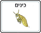 תמונת משחק זיכרון להדפסה
