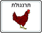 תמונת משחק זיכרון להדפסה