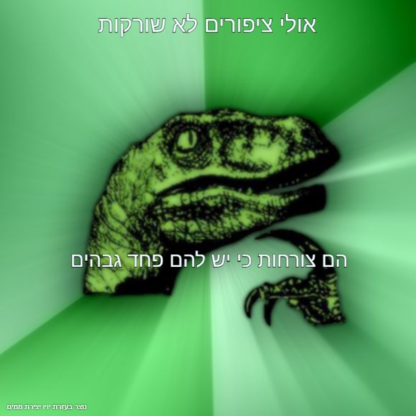 מם #276