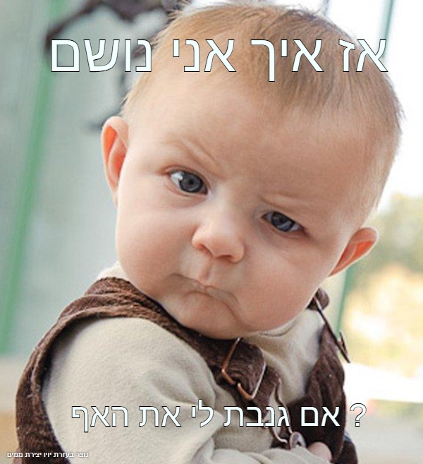 גונב את האף