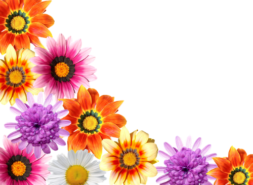 flowers-2659967_640