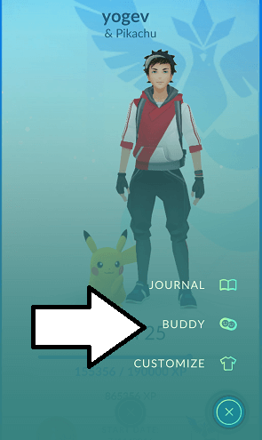 pokemon buddy  