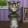  (  )