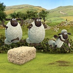שון כבשון ריצה