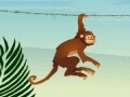 הקוף הקופץ